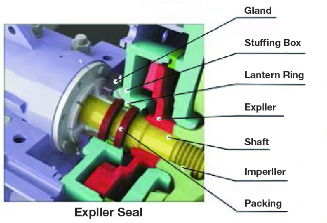 1578376669.jpg 1578376669.jpg